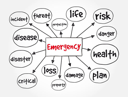 Vol. 17- July 2023- Being better prepared for an Emergency